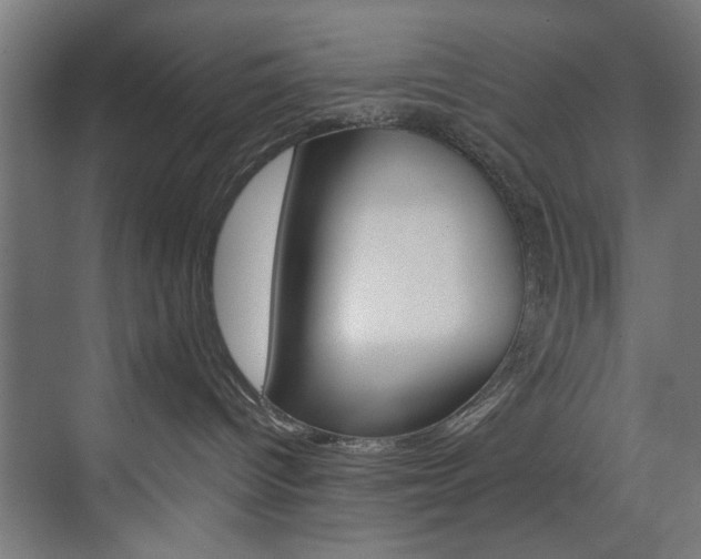 X0000074280096200608250947