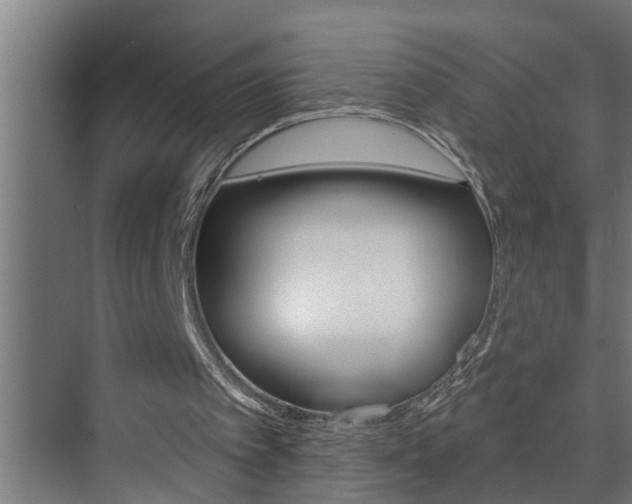 X0000074280097200608250946