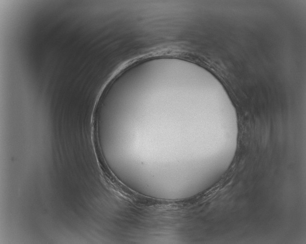 X0000074280100200608250946