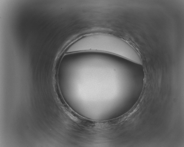 X0000074280101200608250946