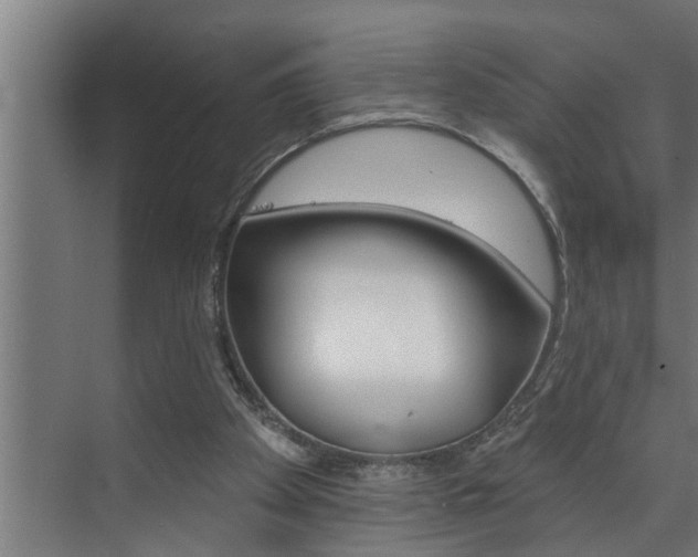 X0000074280105200608250946