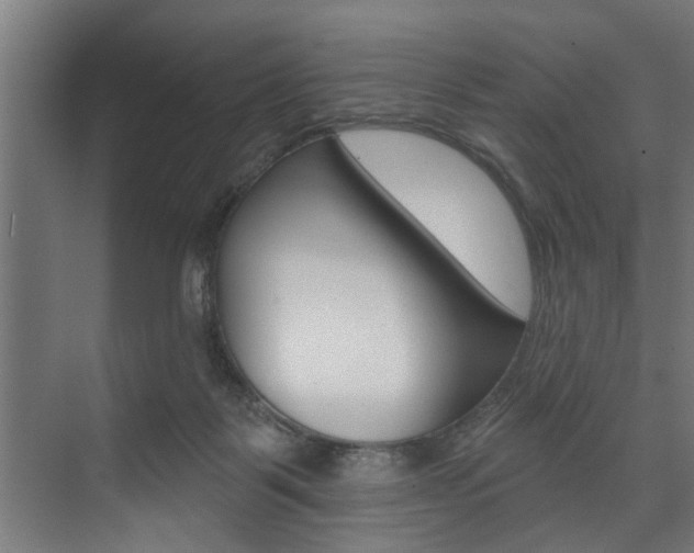 X0000074280123200608250946