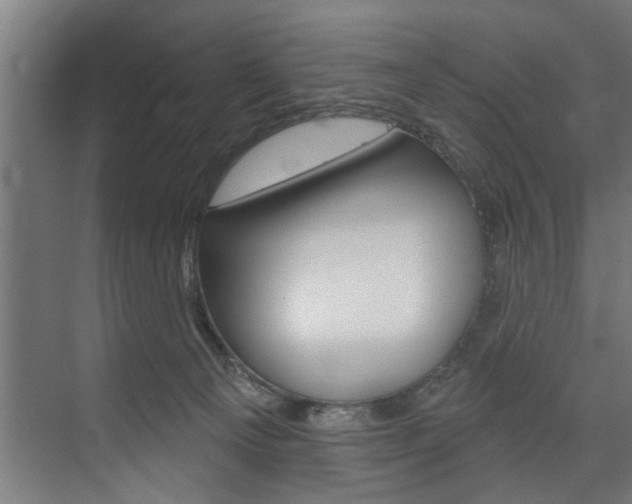 X0000074280129200608250946