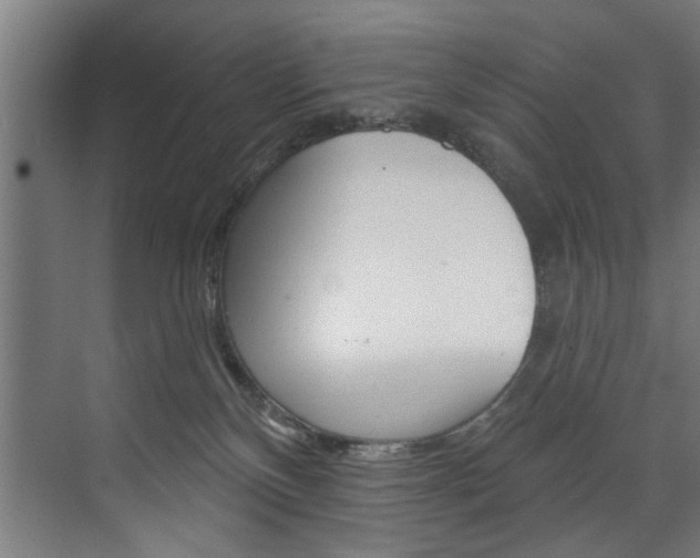 X0000074280136200608250946