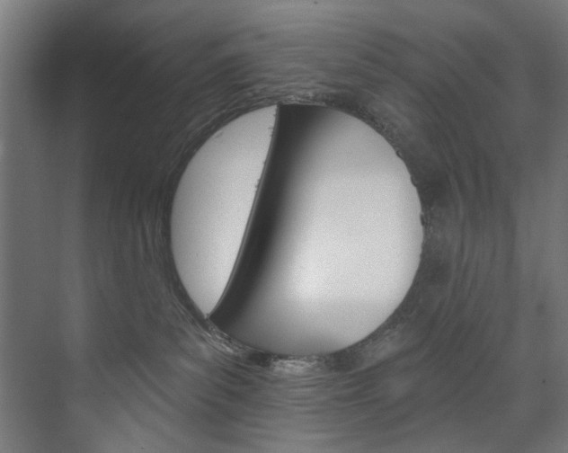 X0000074280139200608250946
