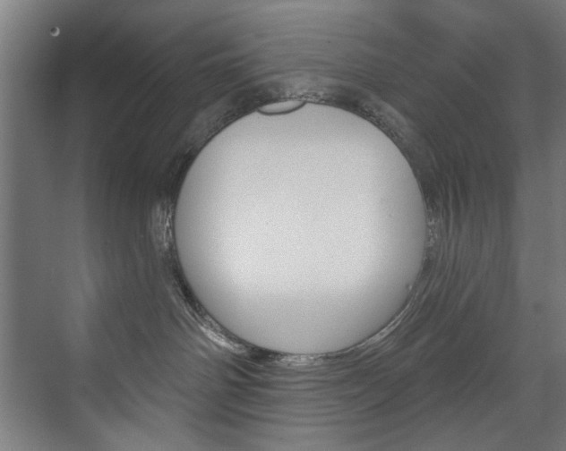 X0000074280142200608250945