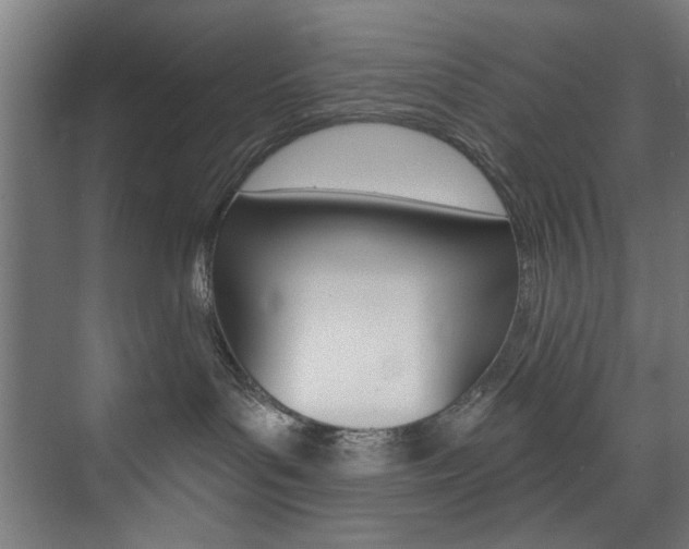 X0000074280143200608250945