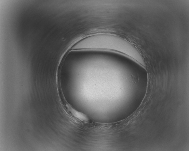 X0000074280148200608250945