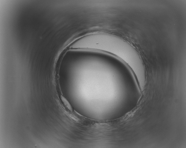 X0000074280150200608250945