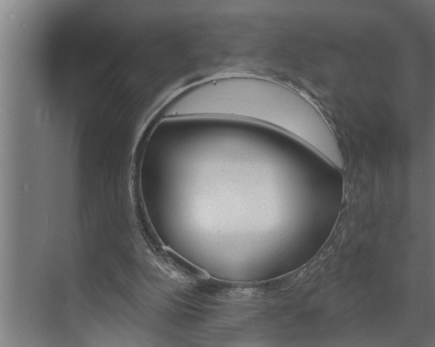 X0000074280152200608250945