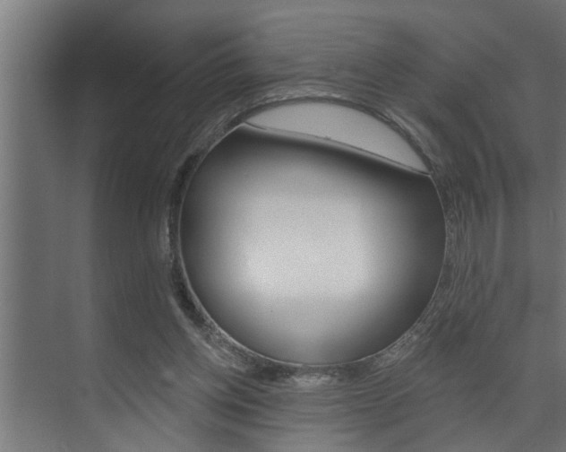 X0000074280158200608250945