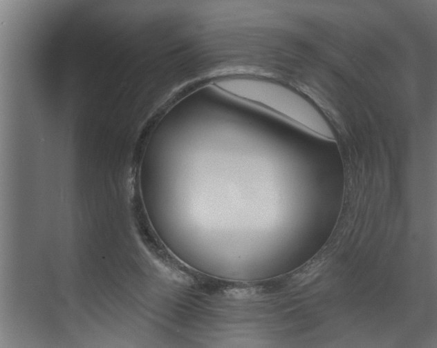 X0000074280160200608250945