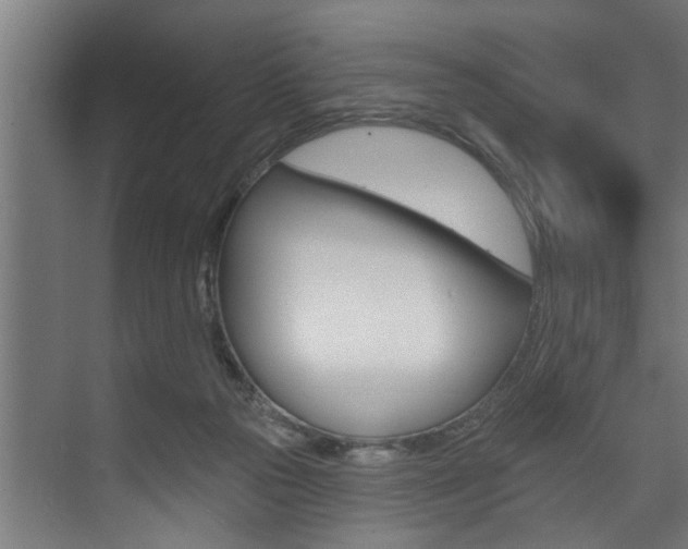 X0000074280169200608250945