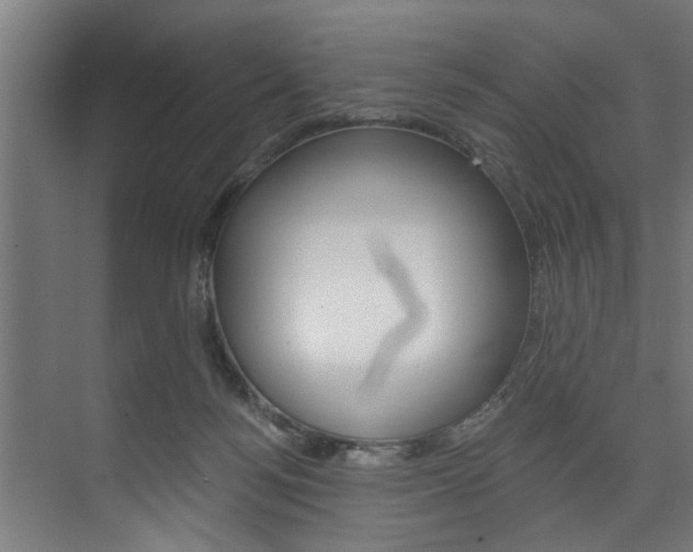 X0000074280172200608250945