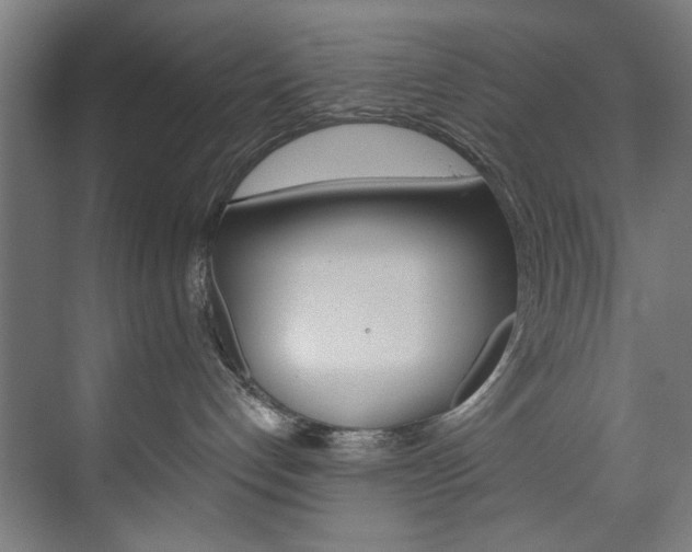 X0000074280192200608250945