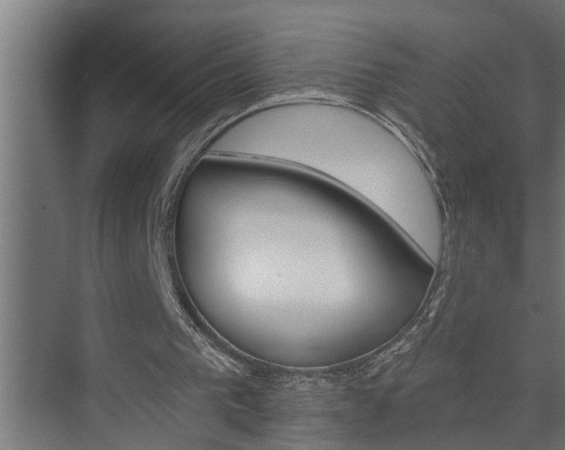 X0000074280193200608250945