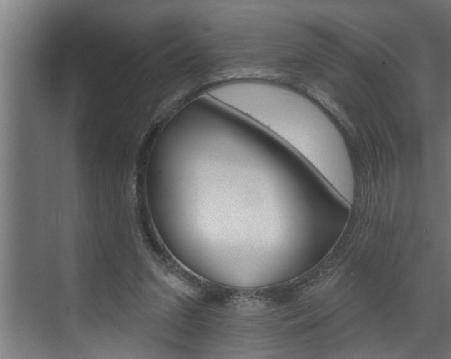X0000074280207200608250944