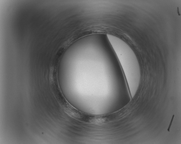 X0000074280217200608250944