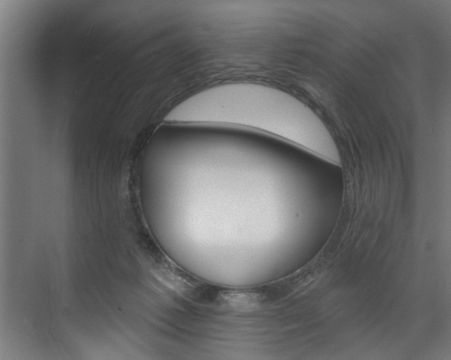 X0000074280221200608250944