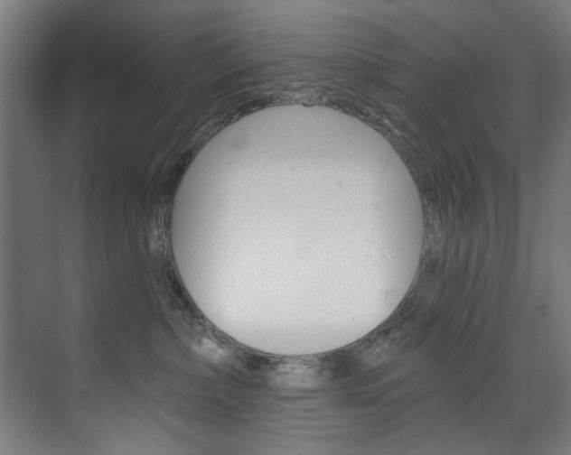 X0000074280236200608250944