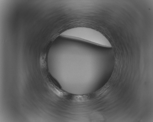 X0000074280239200608250944