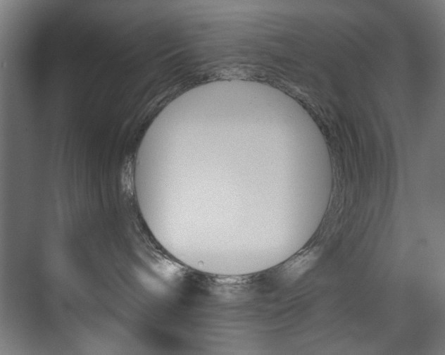X0000074280240200608250944