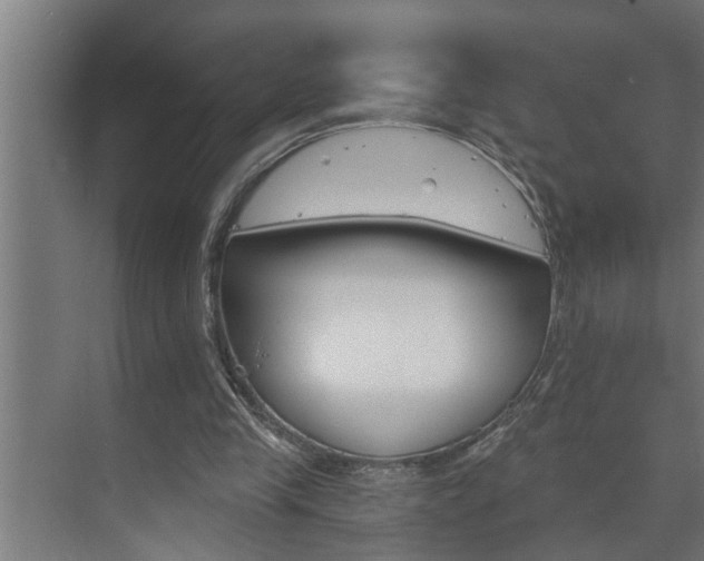 X0000074280245200608250943