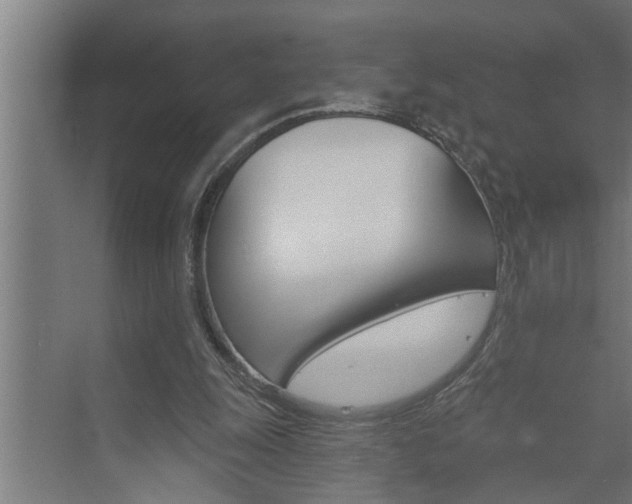 X0000074280247200608250943