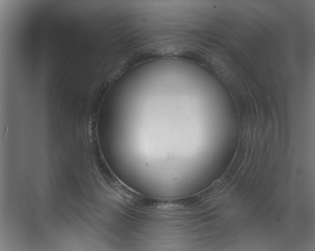 X0000074280268200608250943
