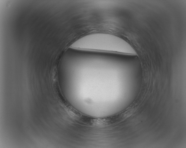 X0000074280273200608250944