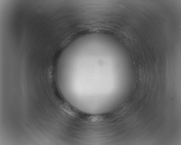 X0000074280275200608250944