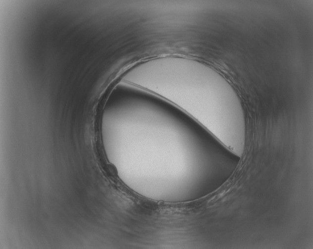 X0000074280291200608250943