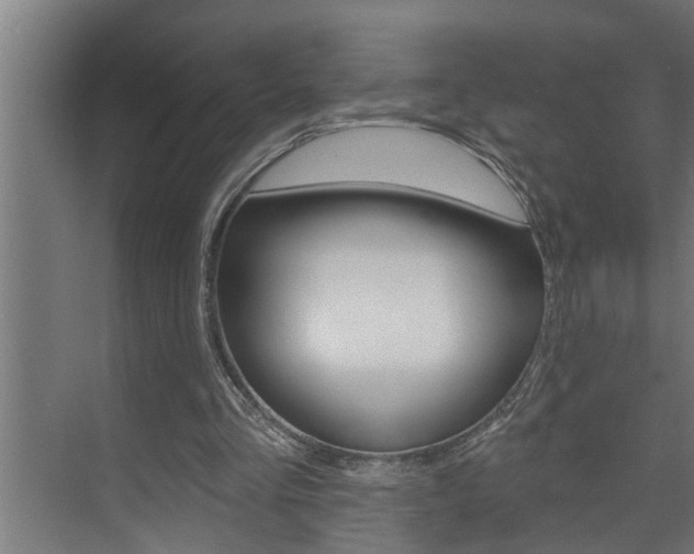 X0000074280293200608250943