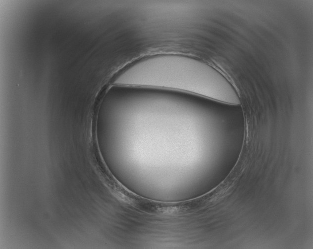 X0000074280301200608250943