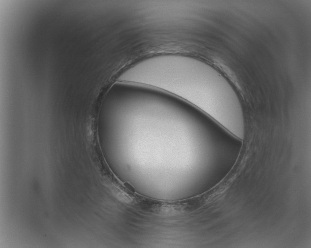 X0000074280305200608250943