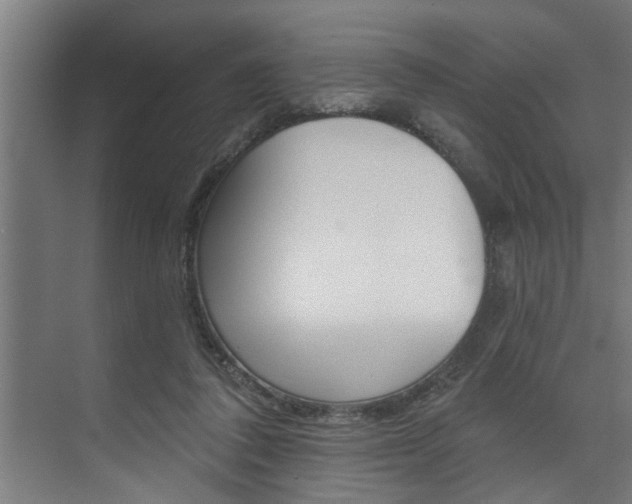X0000074280308200608250943
