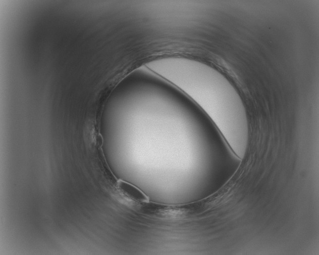 X0000074280313200608250943