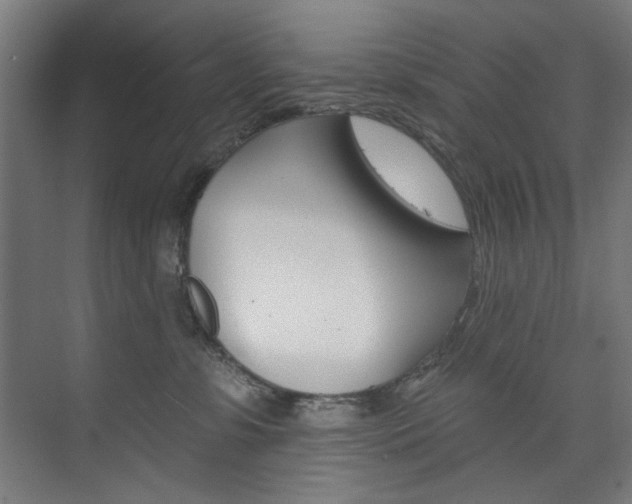 X0000074280331200608250942
