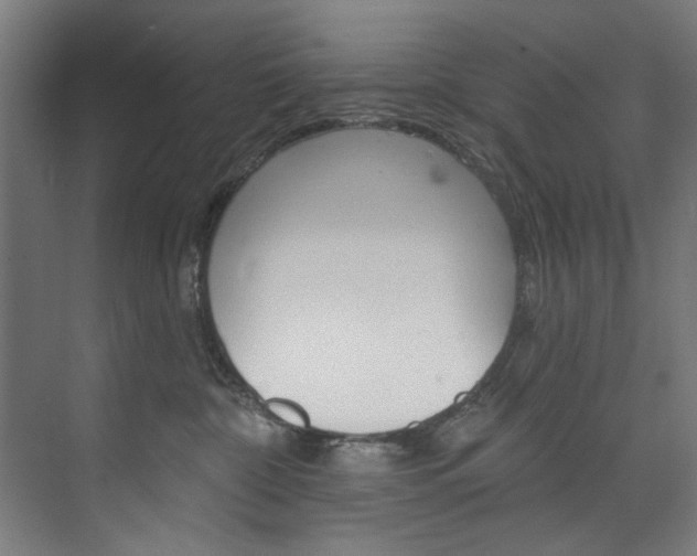 X0000074280332200608250942