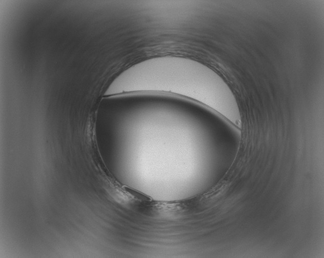 X0000074280333200608250942