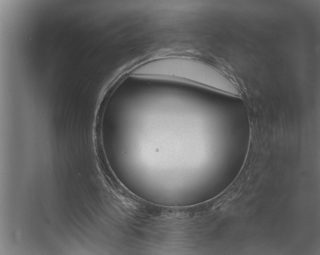 X0000074280340200608250941