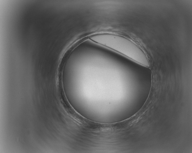 X0000074280344200608250942