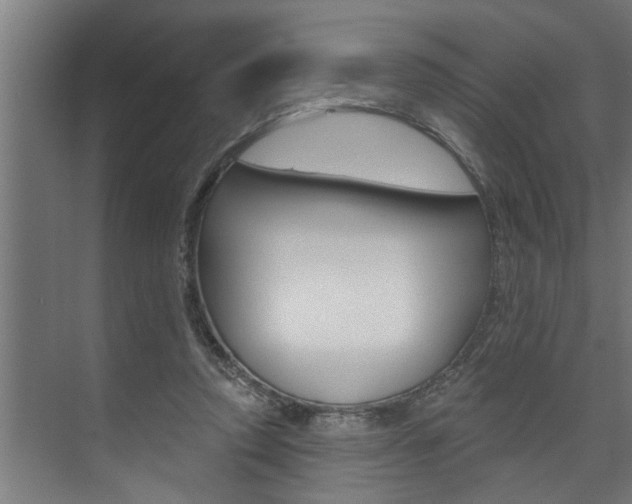 X0000074280354200608250942