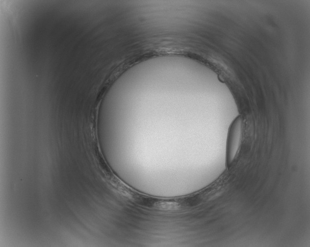 X0000074280361200608250942