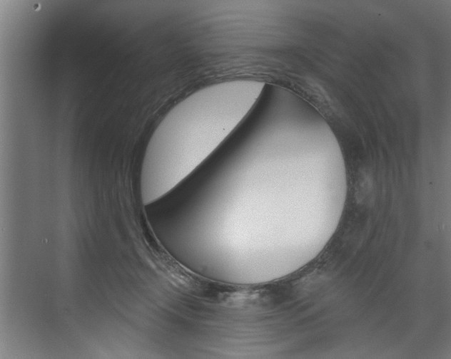 X0000074280366200608250942