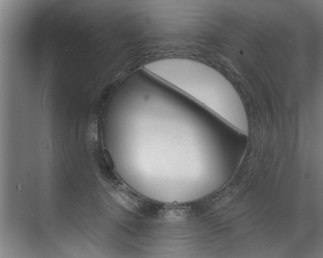 X0000074280368200608250942