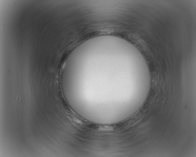 X0000074280369200608250942