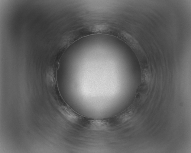 X0000074280380200608250942