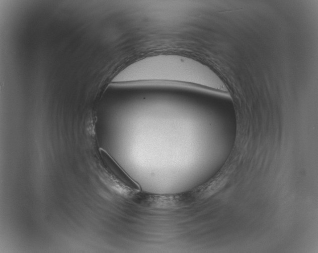 X0000074280384200608250942