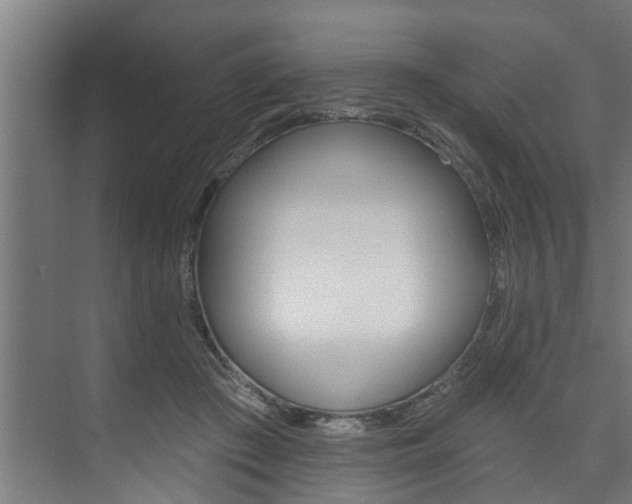 X0000074280409200608250941